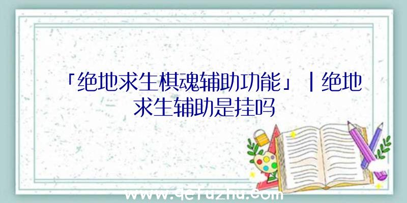 「绝地求生棋魂辅助功能」|绝地求生辅助是挂吗